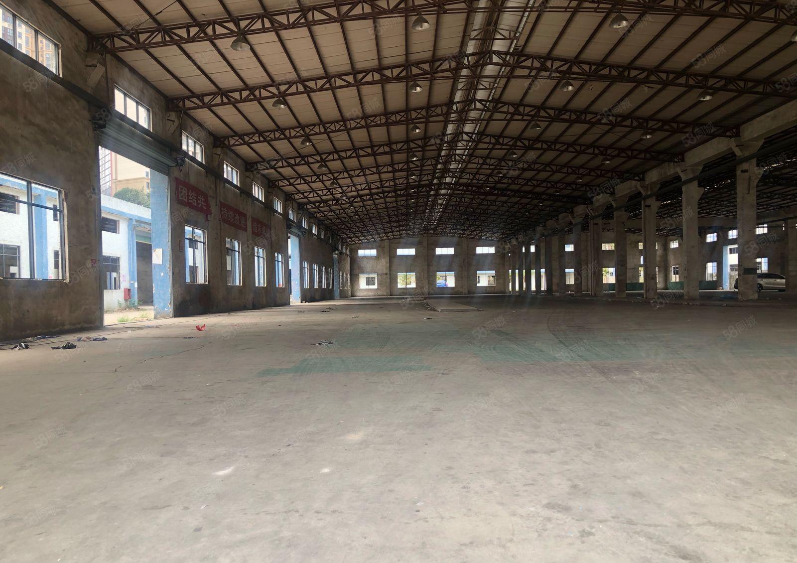 独院钢构厂房惠州市三界交接处国道边交通便利