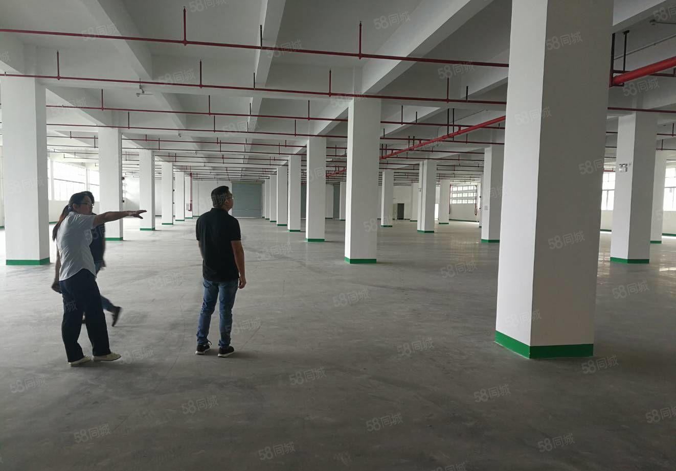 惠阳区镇隆万里工业区独院标准厂房12000平米出租