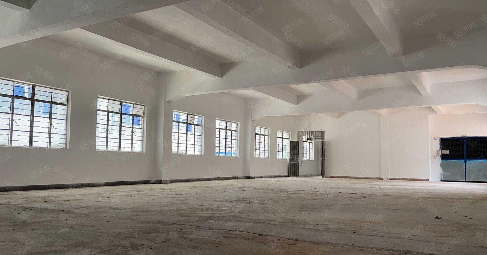 镇隆标准厂房楼上1380平米出租 大小可分