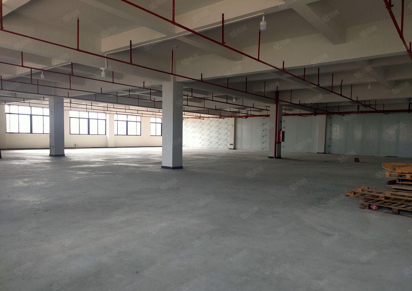 惠阳区新圩镇新空出1060平标准厂房可做喷油