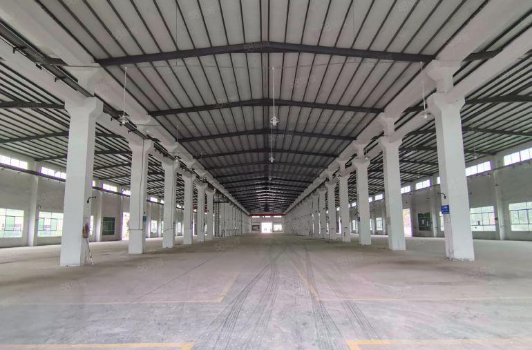 惠阳新圩3600平原房东钢构独院厂房出租证件齐全适合各种行业
