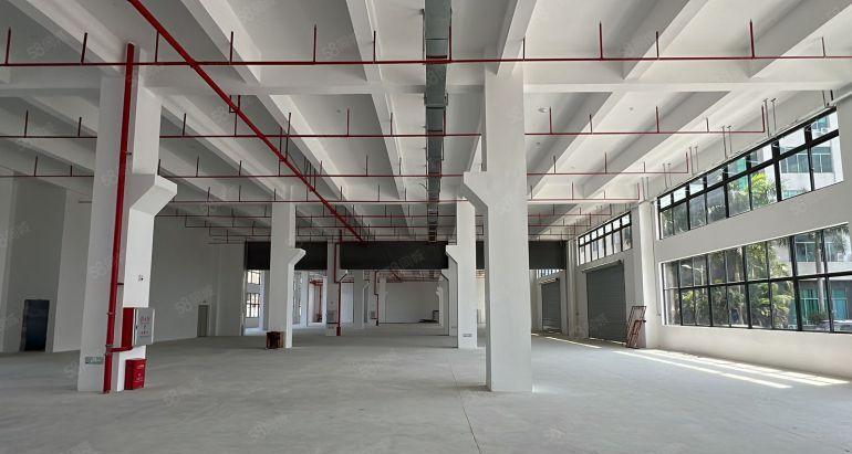 秋长主干道边上新出一楼3000平带牛脚高度8米厂房特价出租