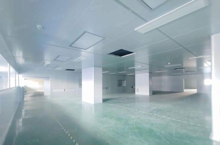 9块！新墟塘吓工业区3000平厂房仓库出租一楼带装修可分租