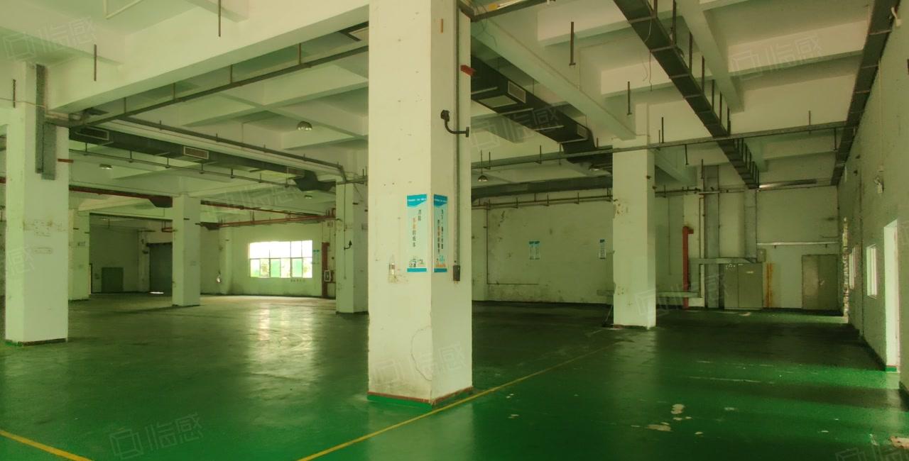 8元起可分租原房东惠阳三和开发区2万平独院厂房仓库一楼出租