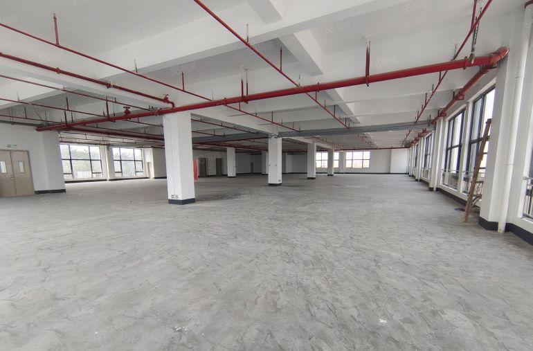 惠阳镇隆原房东全新花园式厂房低价出租 可分租