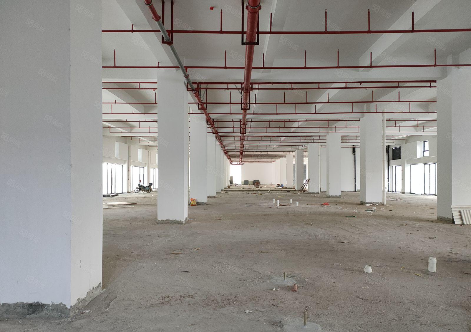 惠阳沙田镇厂房一楼1000平米出租