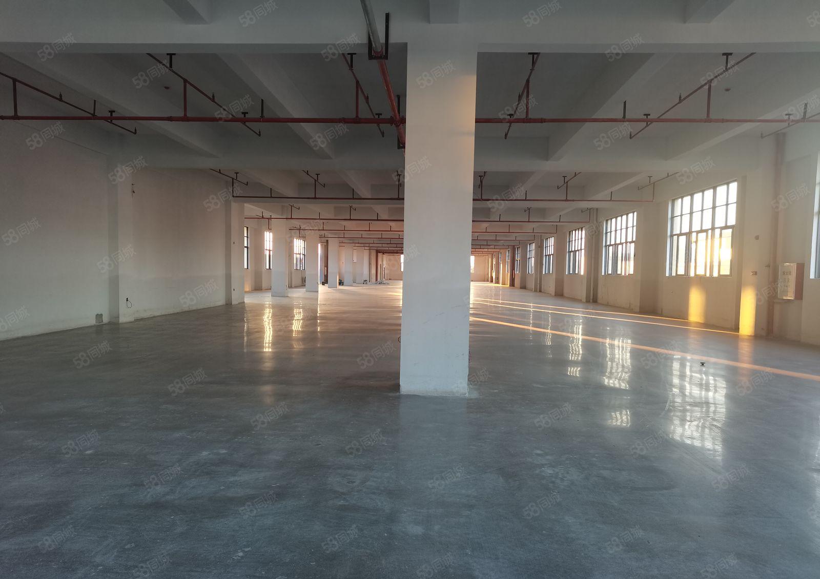 独院全新红本厂房出租，零公摊原房东，2000平方米起分租厂房