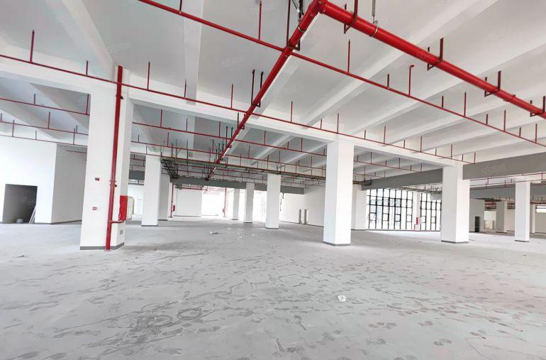 惠阳全新红本超大空地标准厂房出租55200平方可大小分租