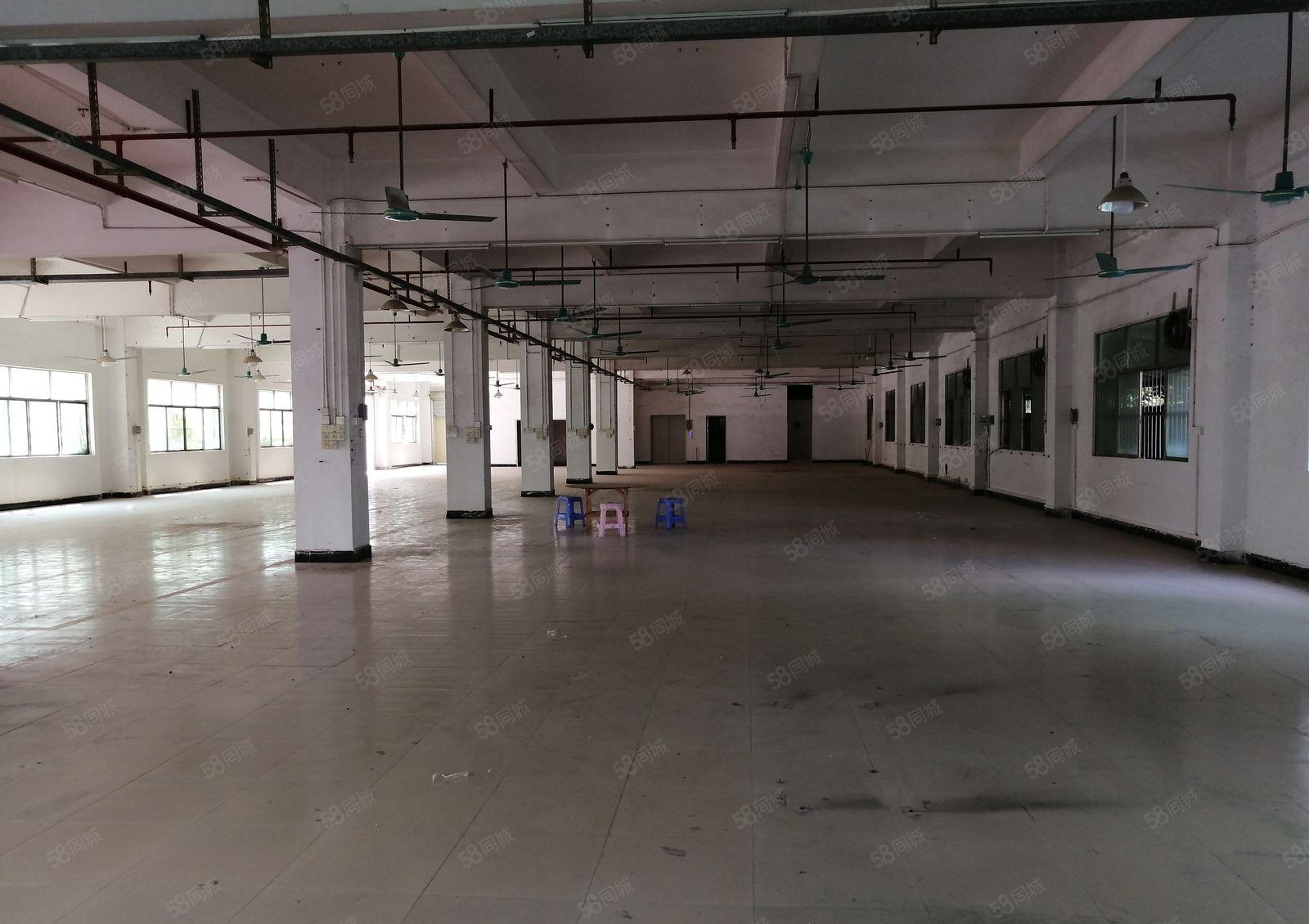 白石精装500平起租可做五金加工行业厂房大小面积可分租