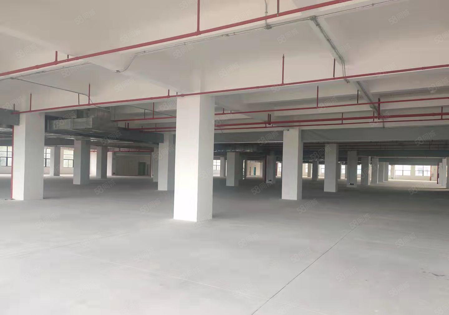 惠阳三和平潭附近厂房国道边红本标准厂房出租