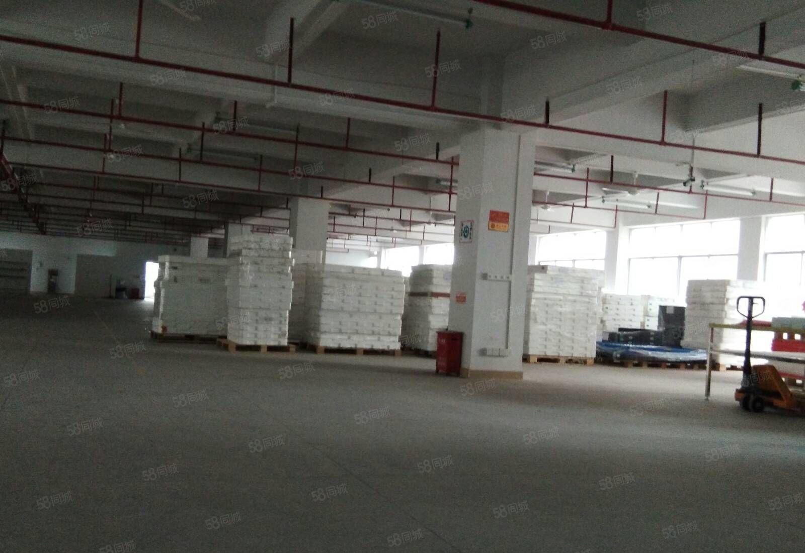 惠阳镇隆甘陂村工业园二楼1928平米带装修的标准厂房出租