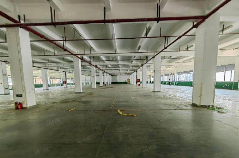 沙田原房东厂房仓库低价11块出租带卸货平台红本设施齐全带装修
