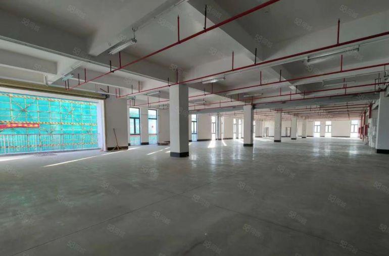 临深秋长开发商直租全新厂房，红本无公摊