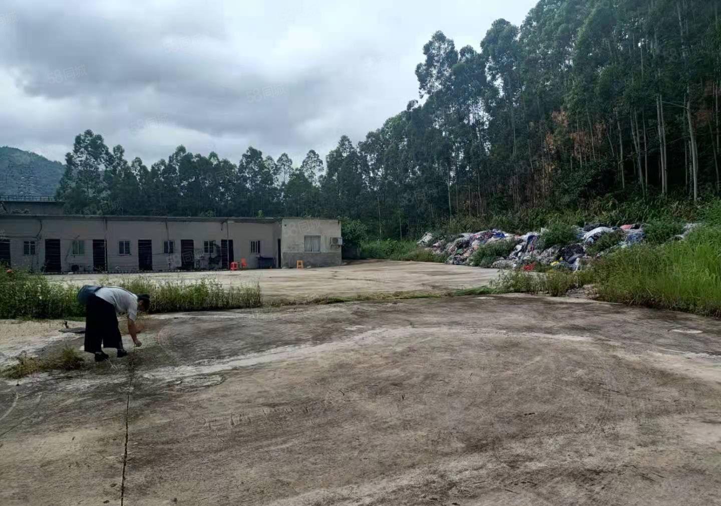 空地5000平免费用惠阳独门独院不限行业钢构厂房2000