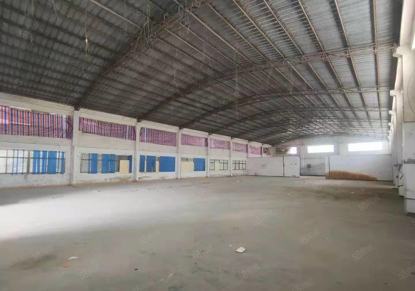 惠阳沙田工业园铁皮房1200平，可分租600平