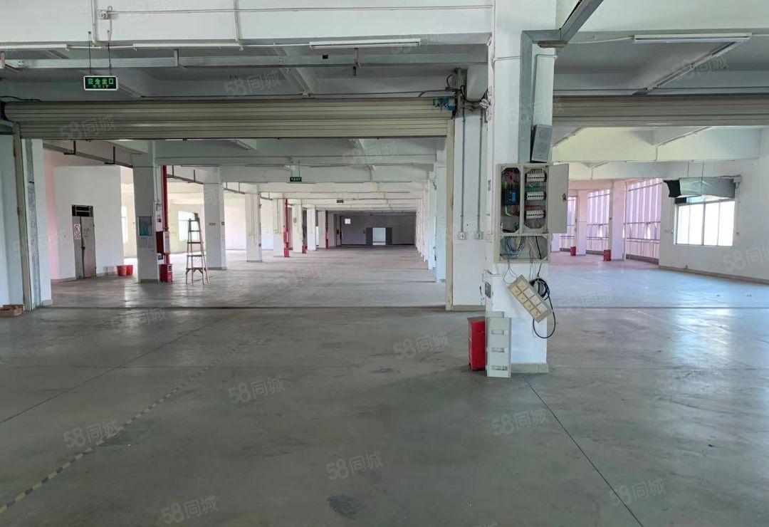 惠州惠阳秋长原房东独门独院标准厂房出租