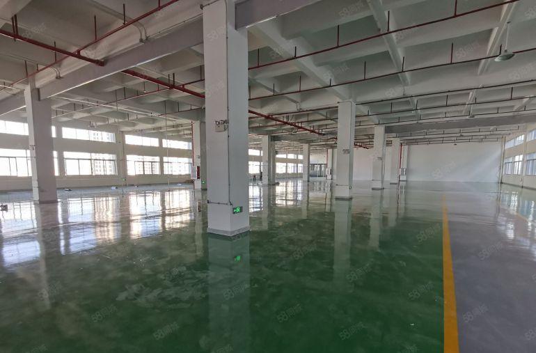 10元租惠阳淡水靠近坑梓红本厂房2000平方带装修低价出租