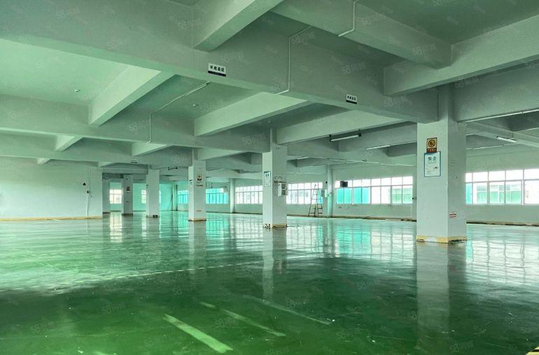 原房东实际面积出租。带精装修，可分租1000平米起。