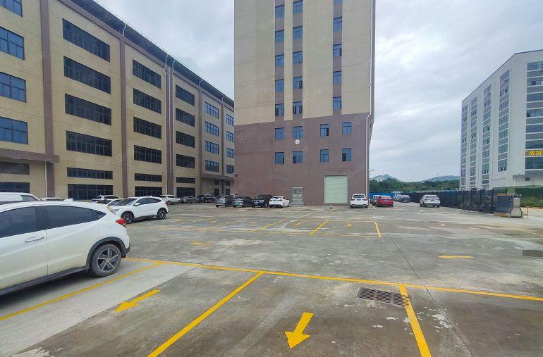 临深惠阳新圩南坑塘吓原房东精装修独栋实际面积低价出租可分租