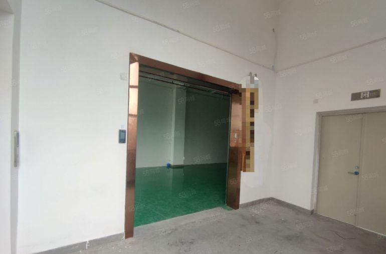 8元低价！惠阳镇隆甘陂工业装修厂房出租1000平方大小可分租