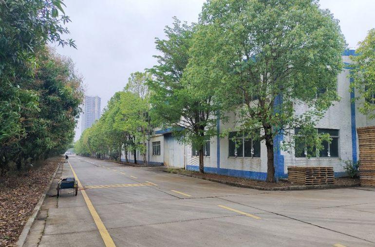 可分租惠阳秋长新塘红本独栋砖墙到顶钢构厂房出租交通便利好停车