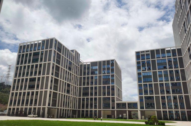 降价出租！5元！免租期长，房东无条件配合成交，价格实在！