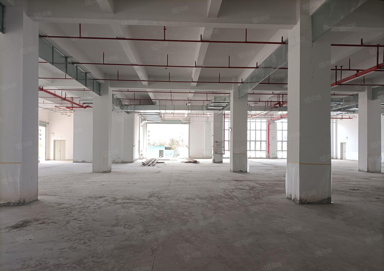 50万平大亚湾惠阳临深区域超大产业园全新厂房10元招租
