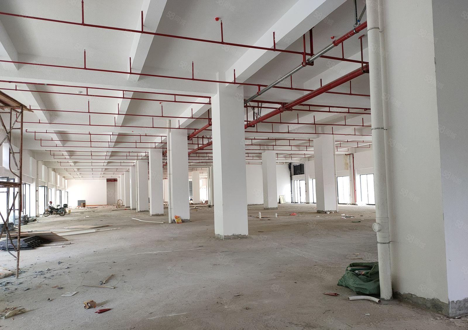 惠阳沙田镇厂房一楼1000平米出租