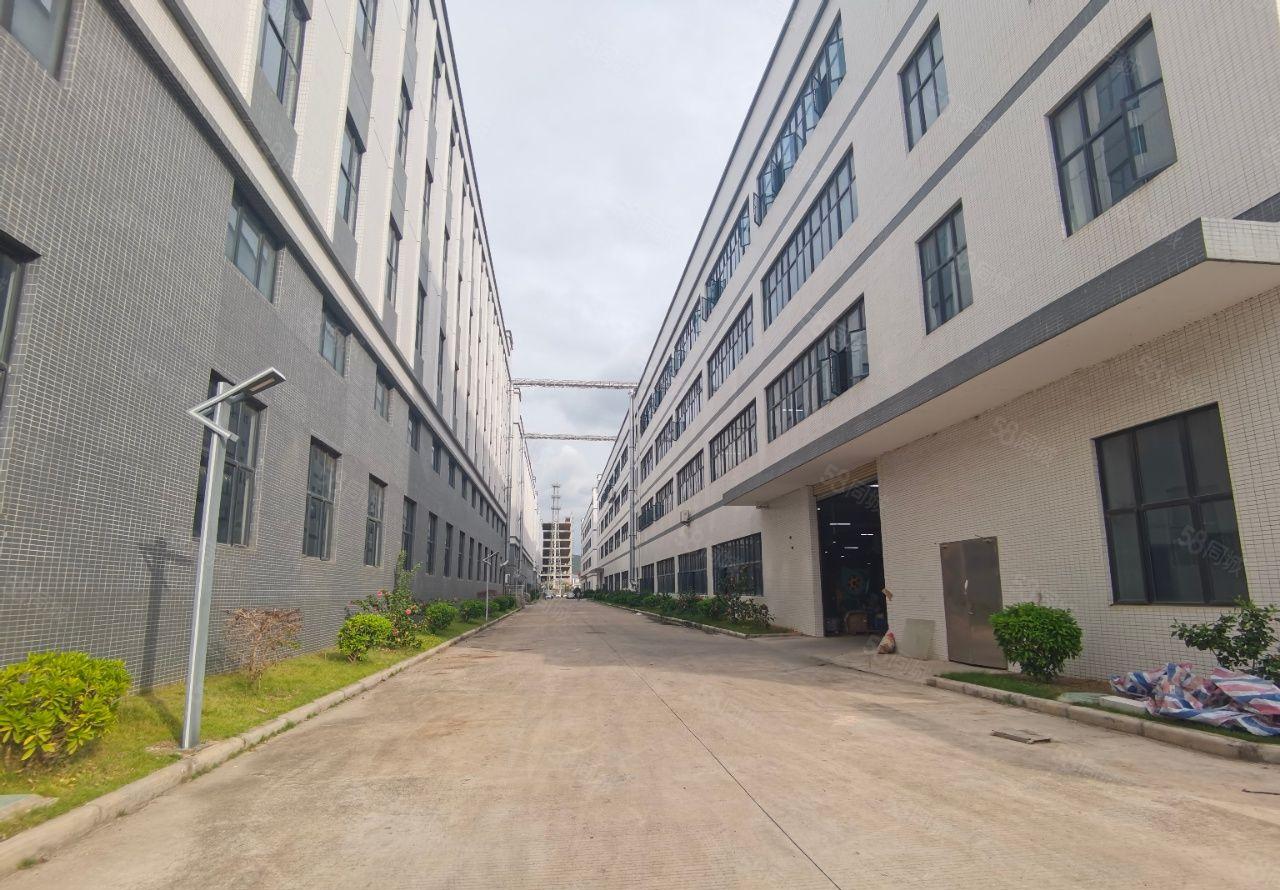 白花全新5万平重工业厂房出租仓库出租2000平分层高7.5米