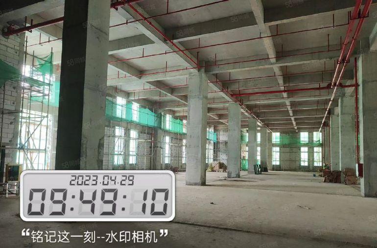 2000平红本厂房，0公摊租售。