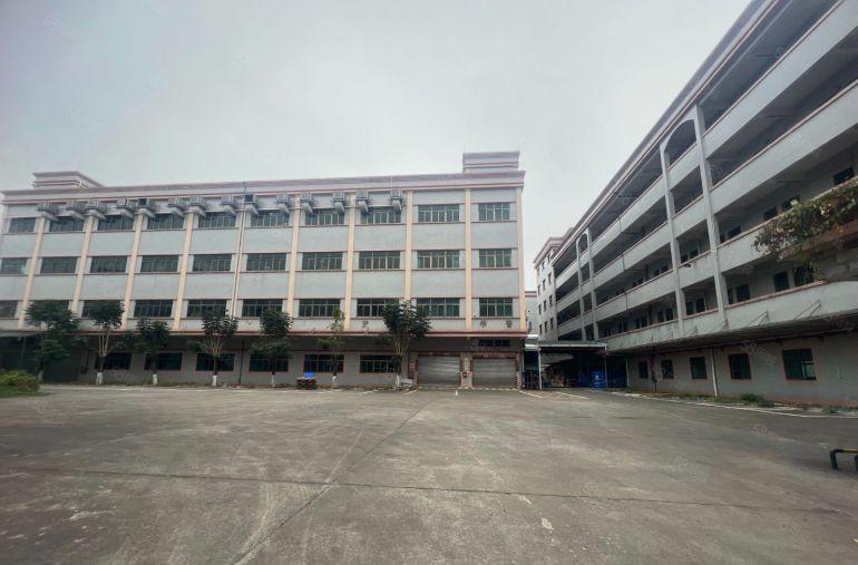 原房东独门独院标准三层厂房精装修办公室