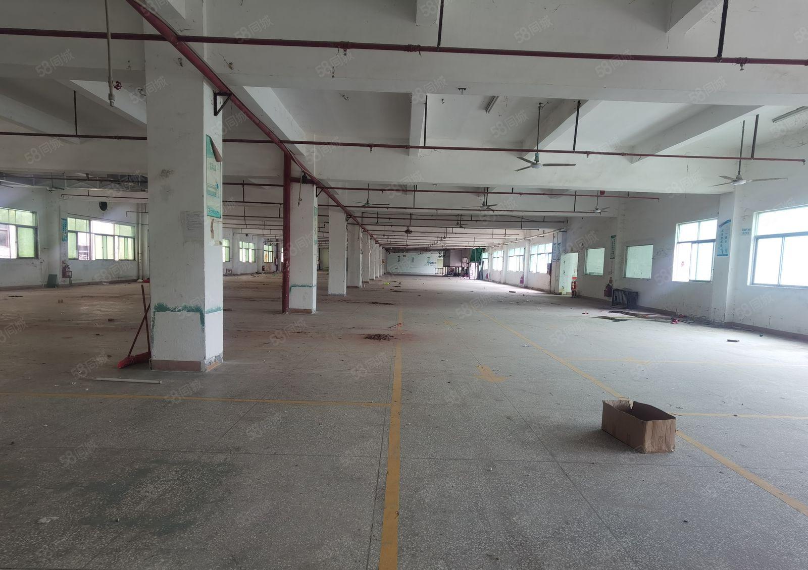 1千2千5千起租全新标准钢构混合独院厂房招租，证件齐全有红本