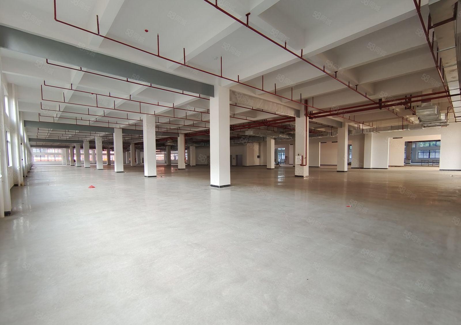 建恒鑫科技园招租，全新厂房12000平方。