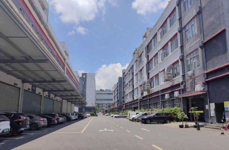 沙田原房东红本厂房实际面积花园式独院厂房5000平一楼6米