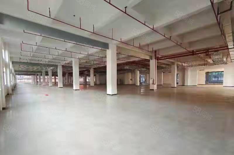 平谭惠州大道边红本独院厂房32000平方可整租分租。