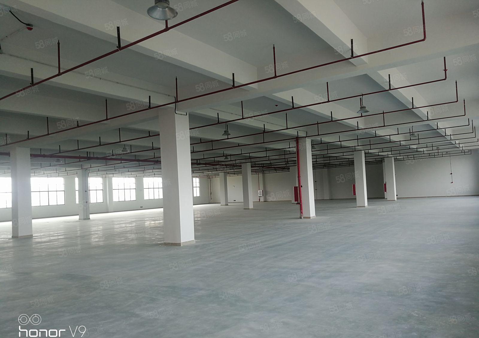 （已做雨污分流）镇隆甘陂原房东全新红本标准厂房35000平