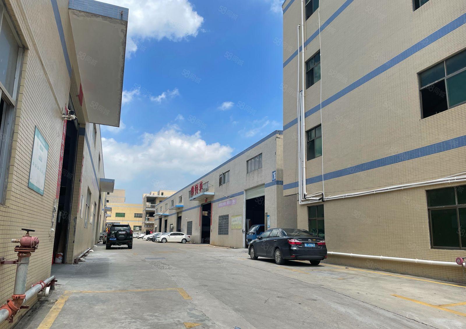 新圩镇镇中心园区独栋砖墙到顶单一层钢构6千平方厂房出租可分租