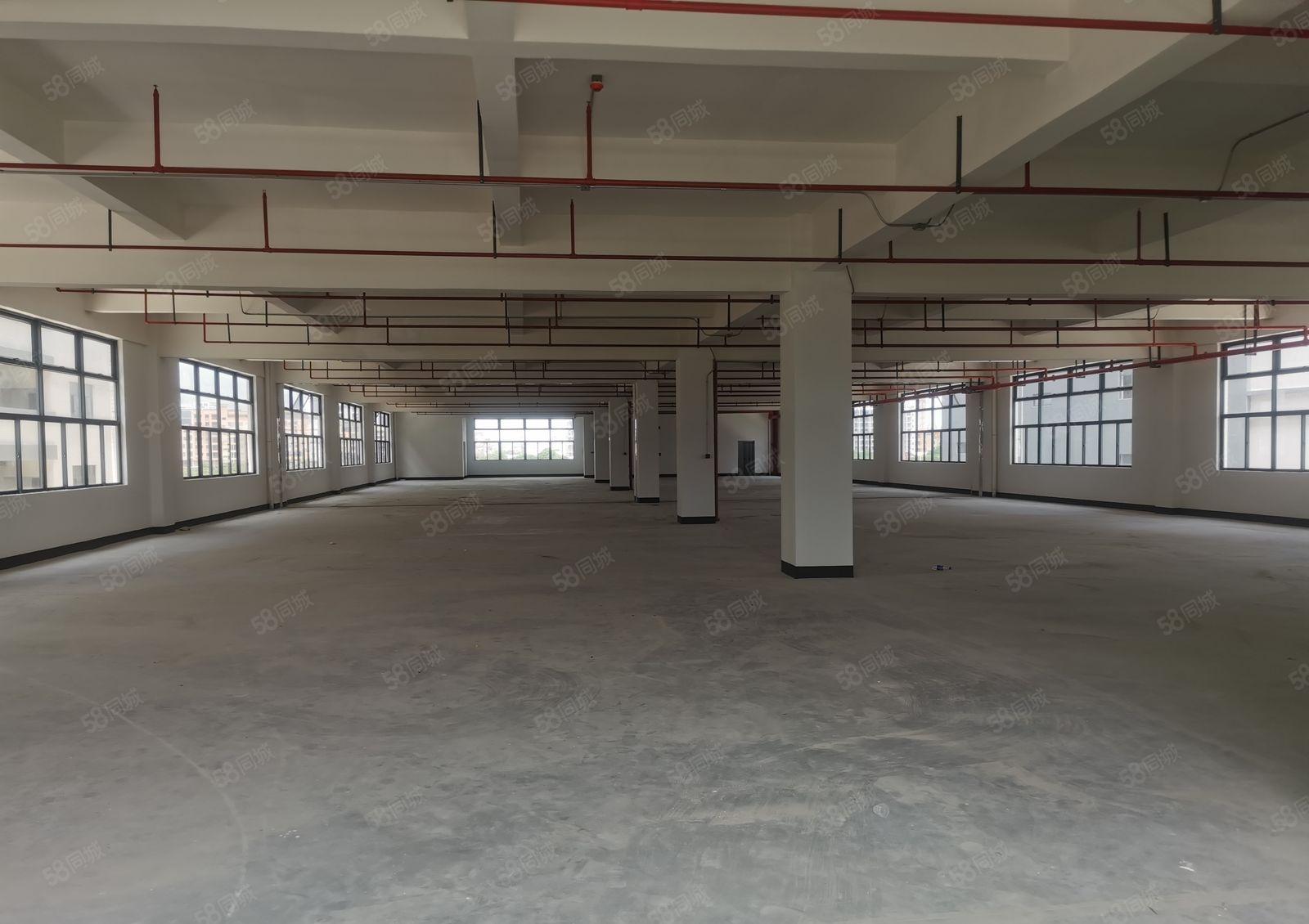 惠阳镇隆原房东5600平方独门独院厂房证件齐全，可办环评，