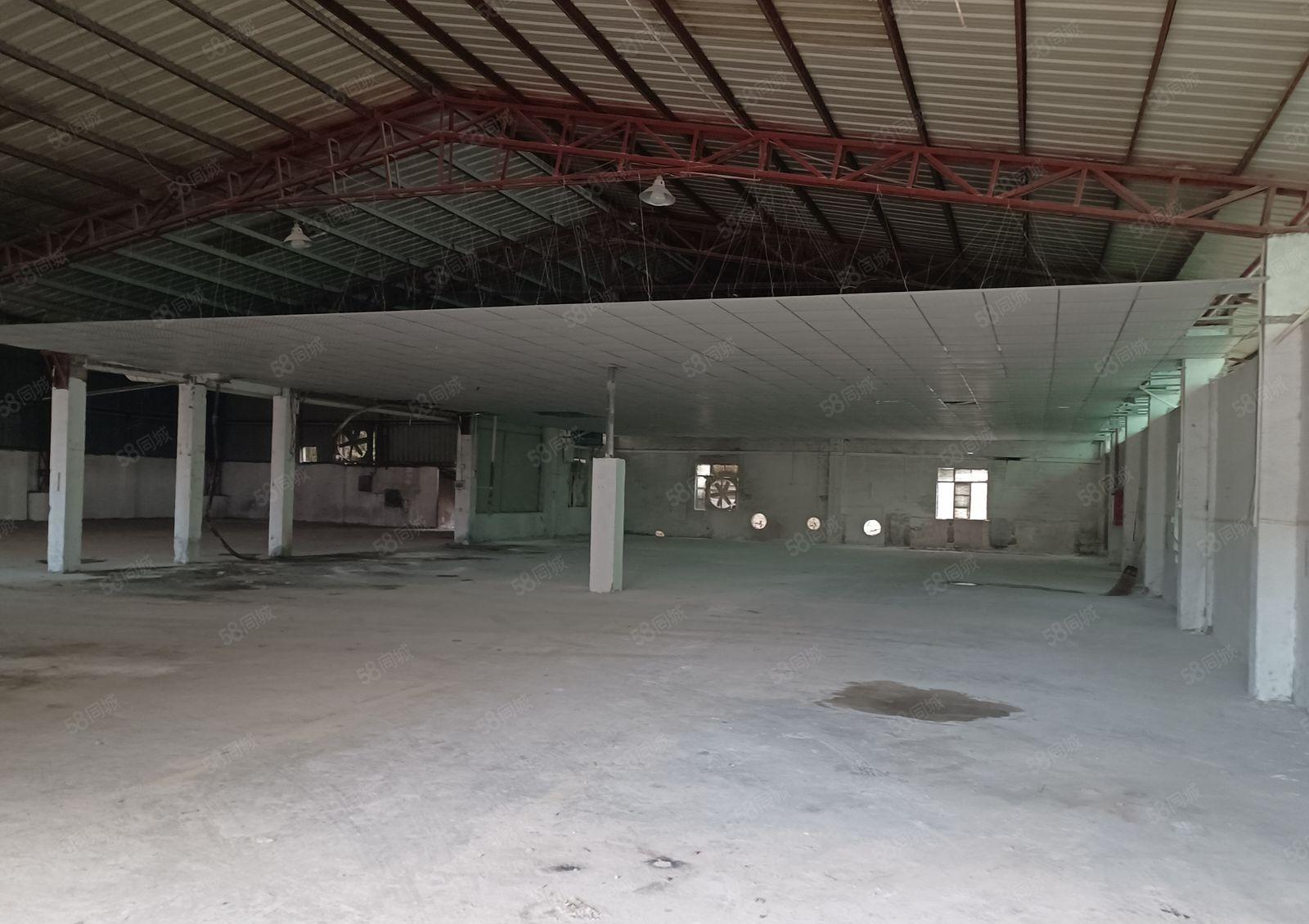 惠阳镇隆楼下村新出红本钢构1900平方