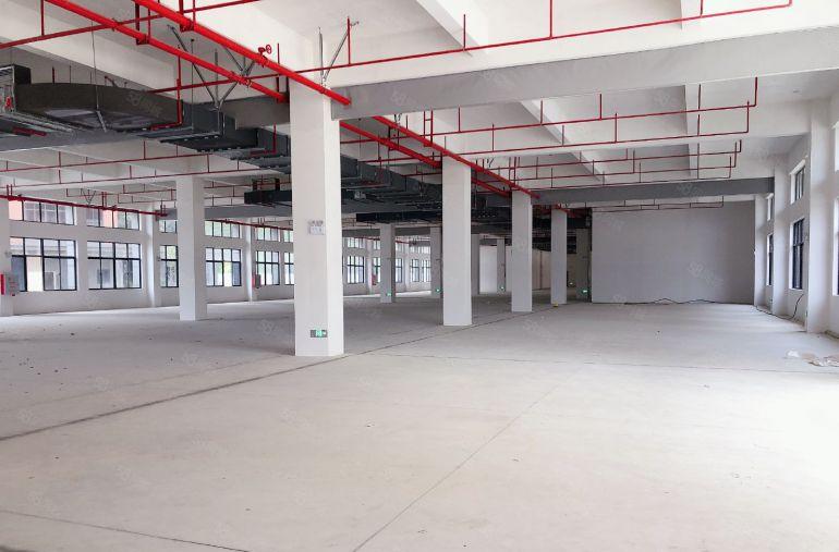 单价6块，镇隆永湖原房东全新园区，实际面积，空地很大