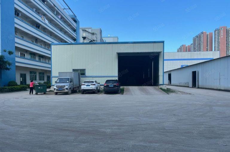 新出11元厂房！新圩长布800平一楼独栋厂房仓库低价出租