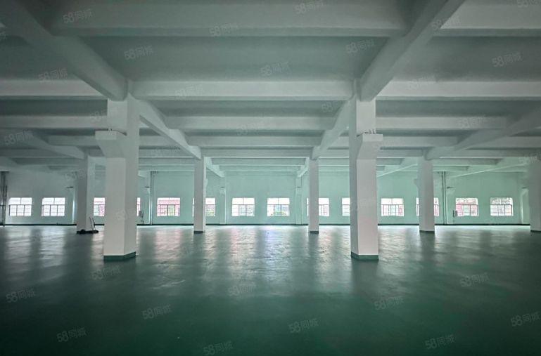 原房东出租一楼6米高，全新地坪漆，800kva主线到车间