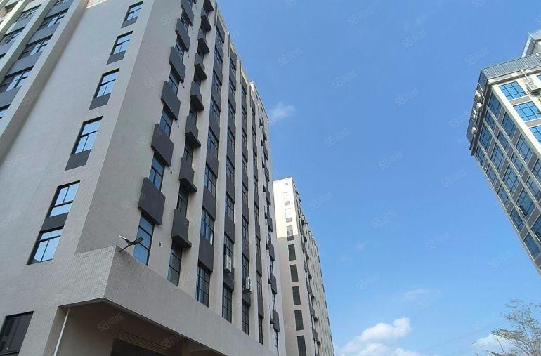 实际面积单层 2618 平！！三和全新原房东标准厂房出租