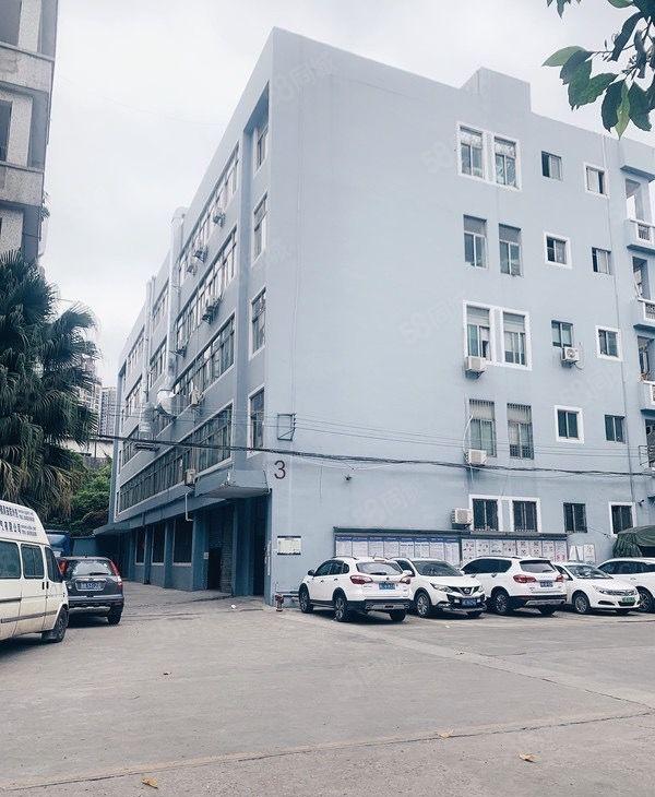 惠阳新圩原房东标准仓库厂房出租1000平高6米200起租可分