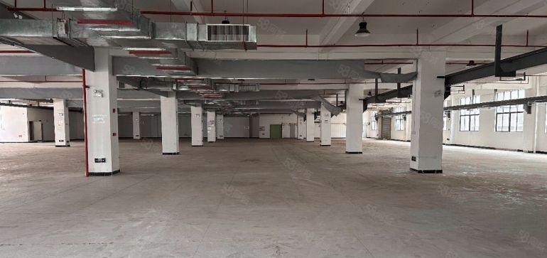 惠阳三和惠南大道边新出原房东红本重工业标准厂房19500平