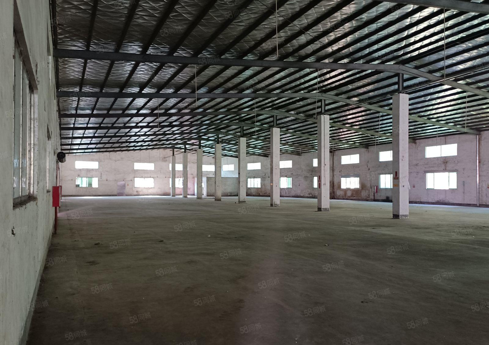 （周边无居民不限行业）镇隆205国道边新出独院钢构8750平