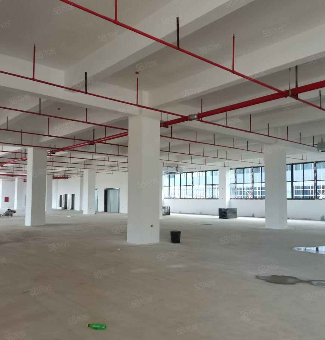 （1000平起分租）惠州惠阳原房东花园式厂房出租