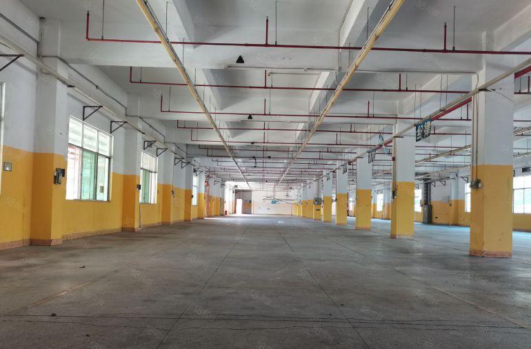 惠阳花园式独门独院厂房出租 7960平方 1至3楼 13元平