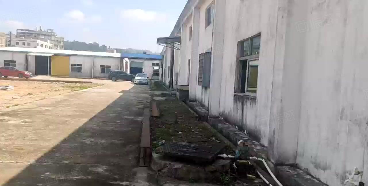 惠阳新圩长布独院钢构厂房3000平招租空地大500平起分。