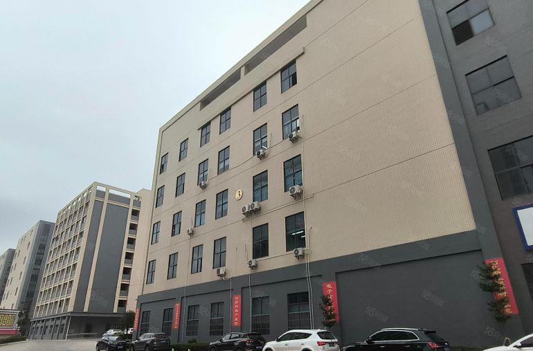 8 元低价！单层 3000 平惠阳镇隆原房东独栋标准厂房出租